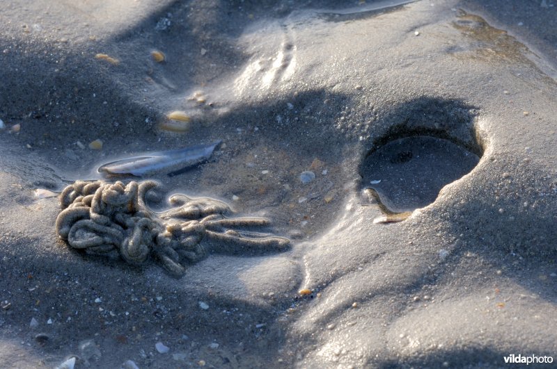 Huisje van een zeepier