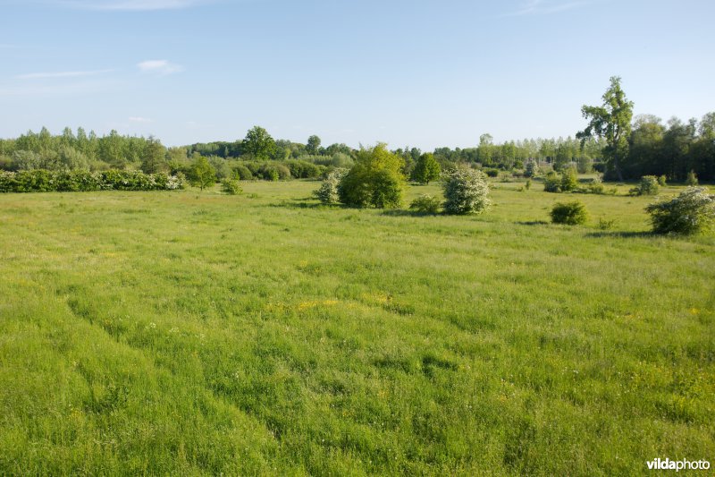 Hooiland in het Doysbroek