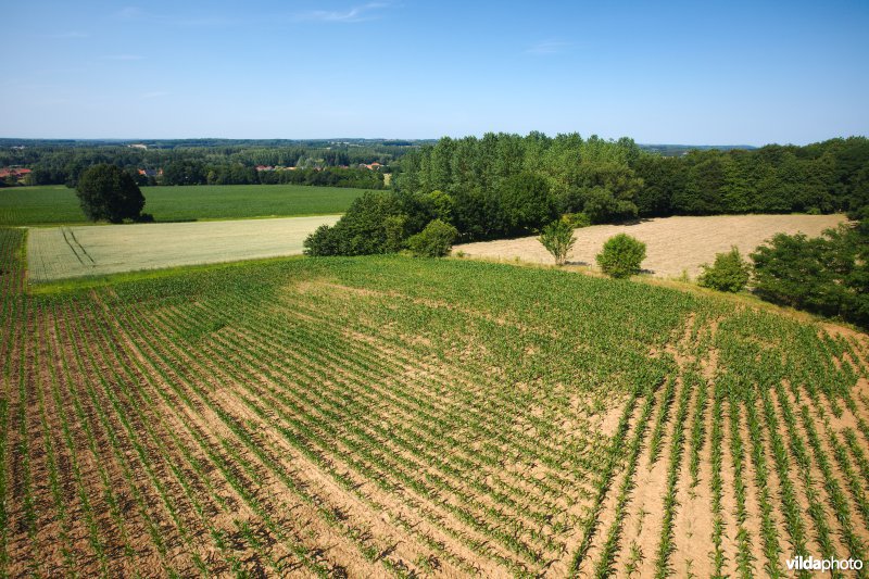 Gevarieerd landbouwlandschap