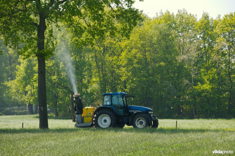 Pesticiden spuiten tegen de eikenprocessierups