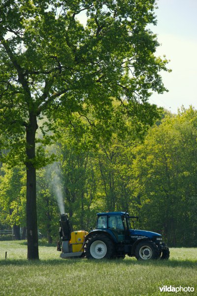 Pesticiden spuiten tegen de eikenprocessierups