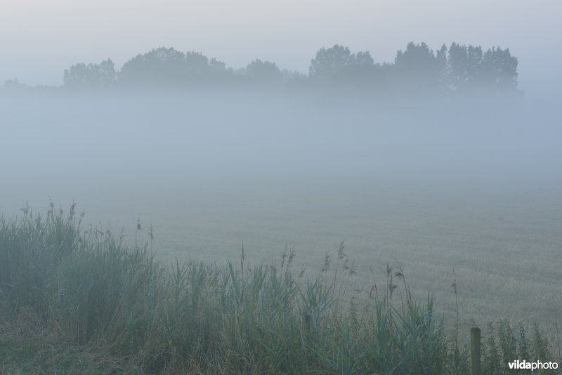 Vallei van de Grote Nete