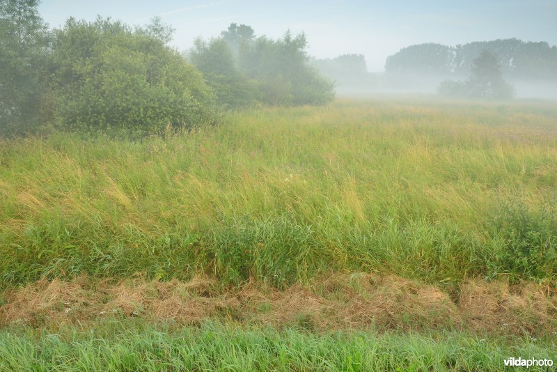 Vallei van de Grote Nete