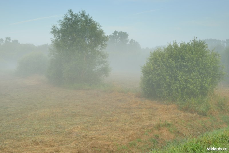 Vallei van de Grote Nete