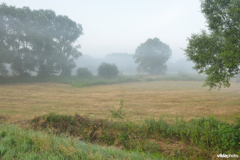 Vallei van de Grote Nete