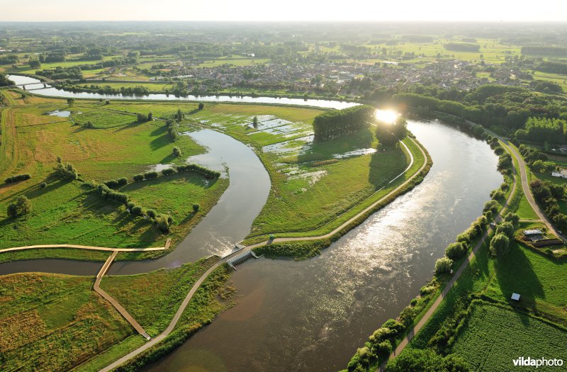 Bergenmeersen