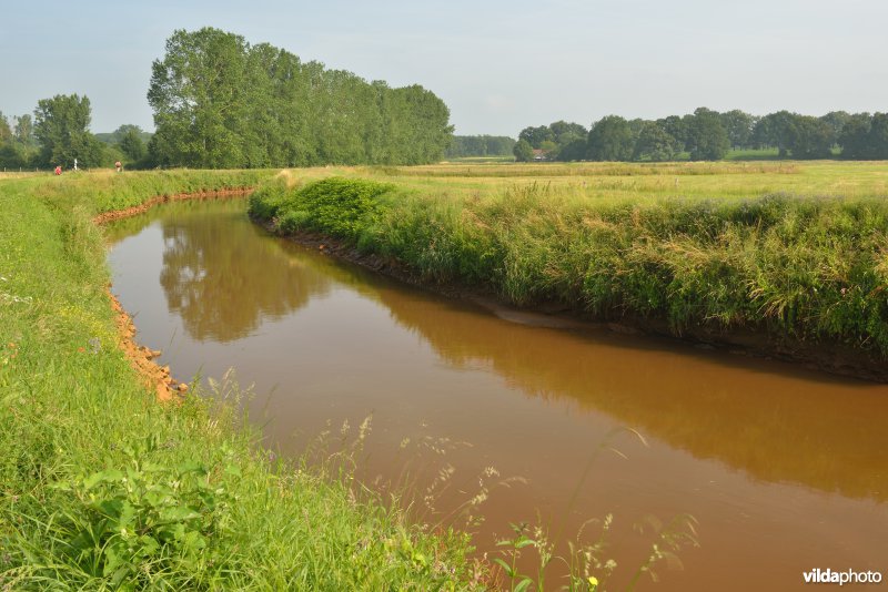 Grote Nete