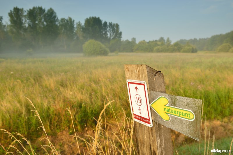 Graslanden langs de Grote Nete