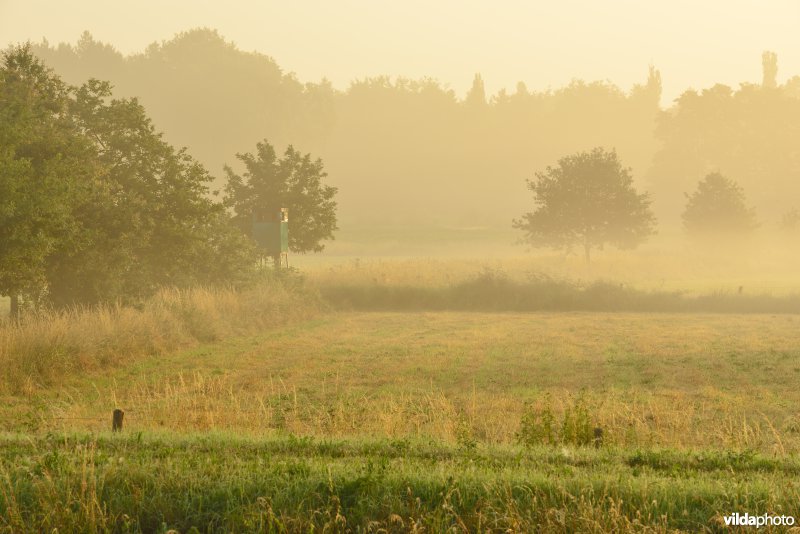 Graslanden langs de Grote Nete