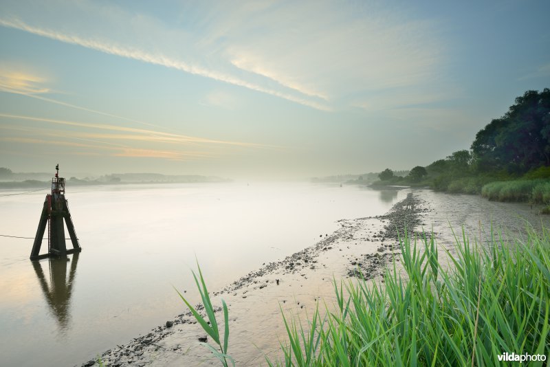Schelde