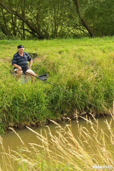 Visser aan de Grote Nete