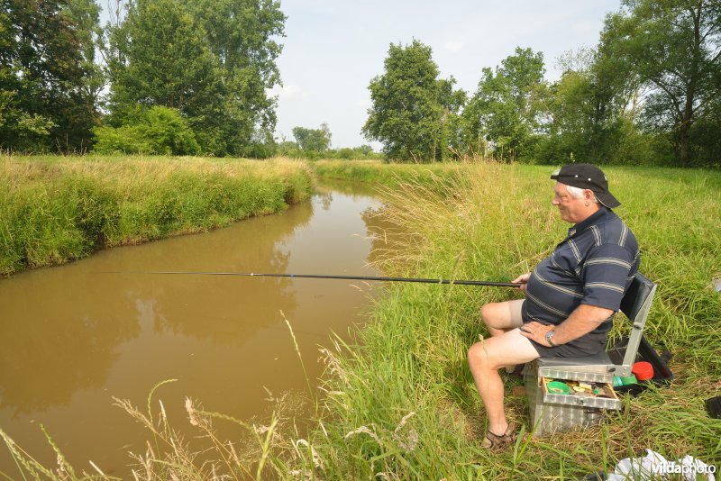 Visser aan de Grote Nete