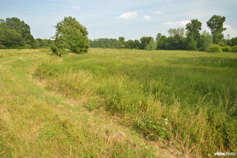 Vallei Zammelsbroek