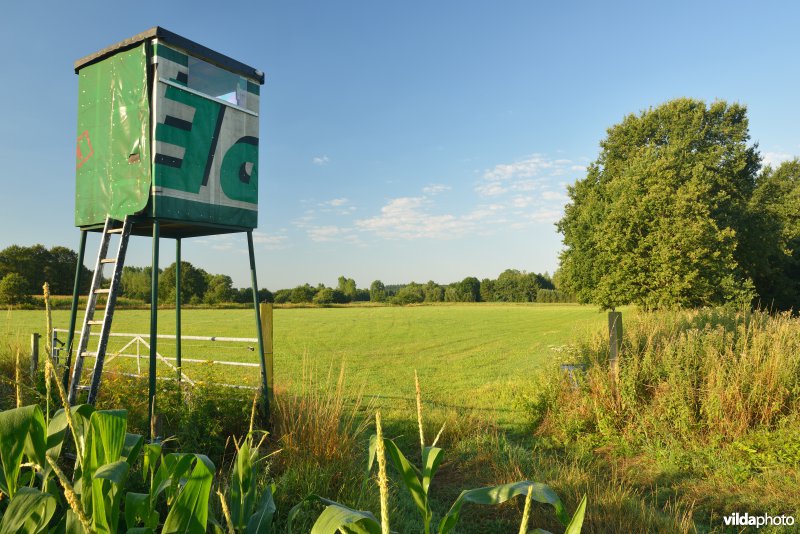 Vallei van de Grote Nete