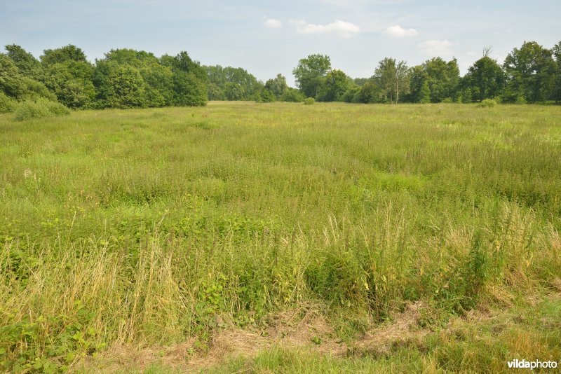 Vallei Zammelsbroek