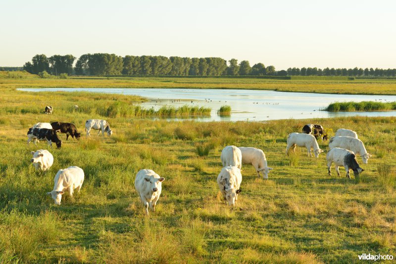 Putten West
