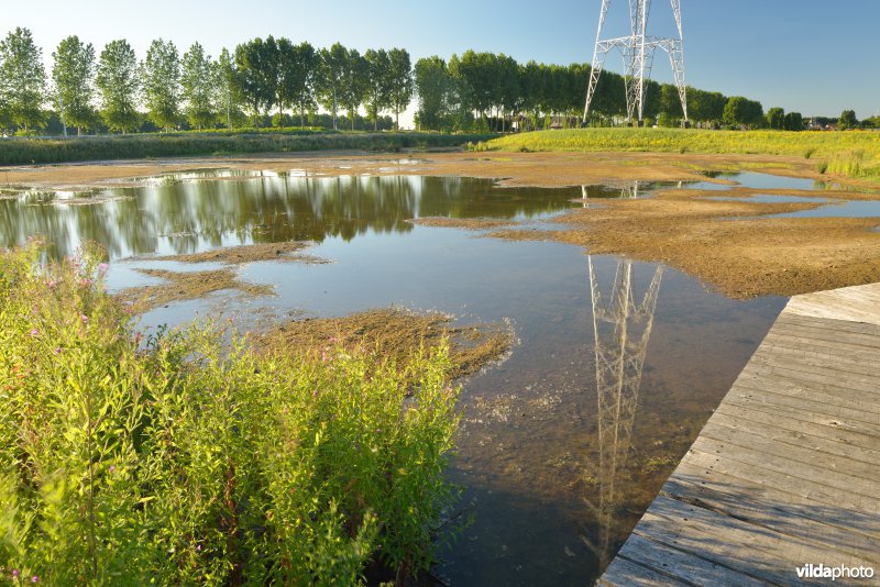 Rietveld Kallo