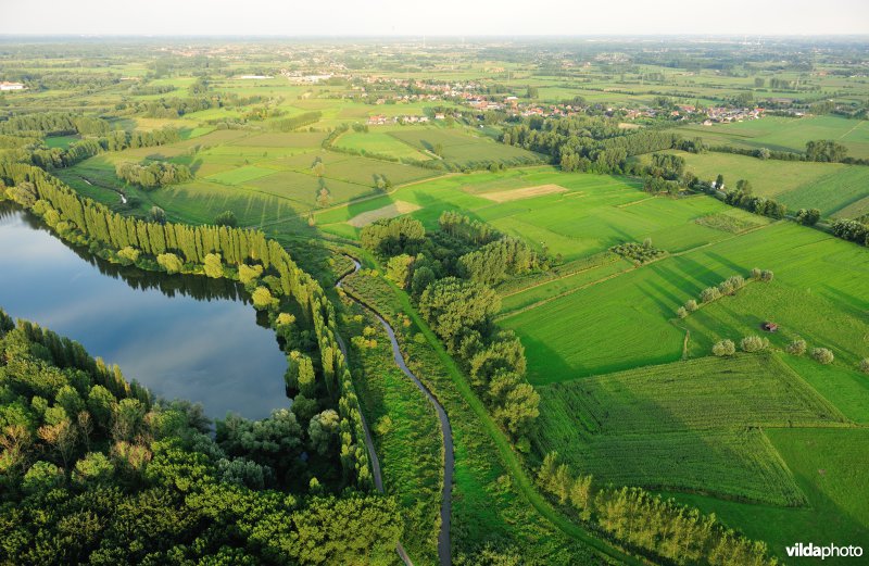 Hof te Rijen