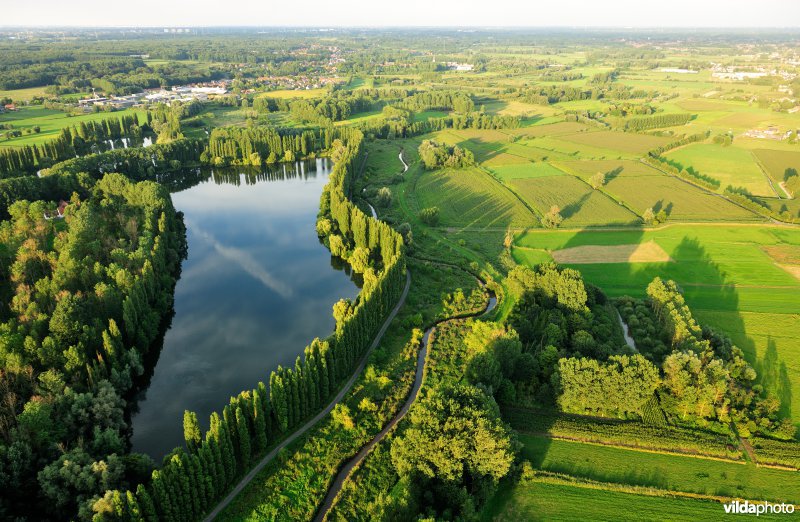 Hof te Rijen