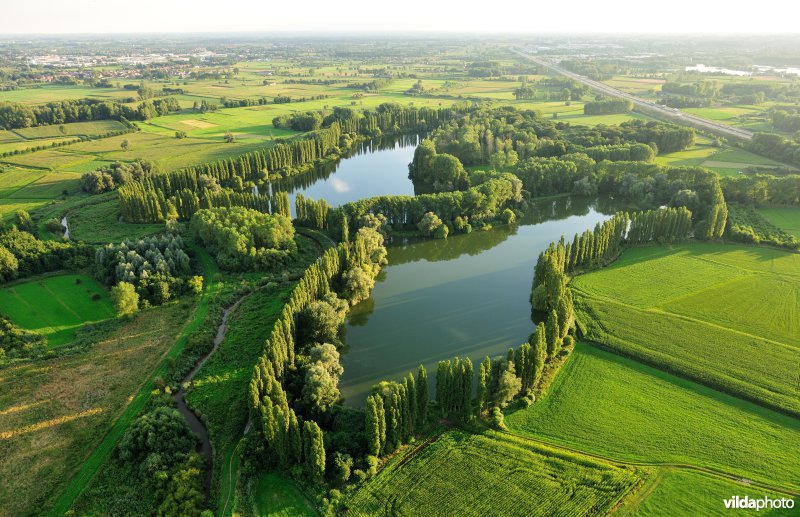 Hof te Rijen
