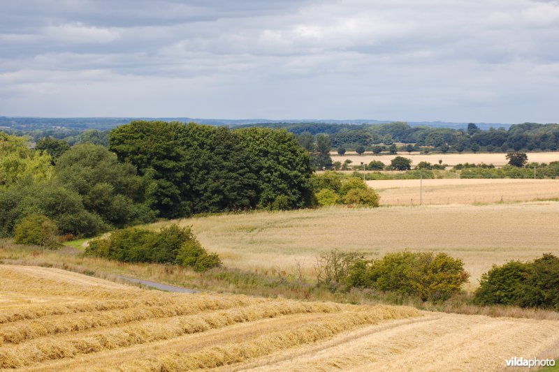 Gevarieerd landbouwlandschap