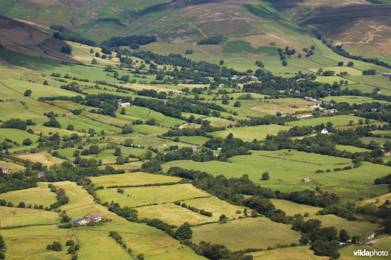 Houtkanten in de heuvels van het Peak District