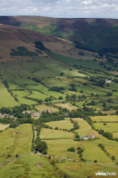 Houtkanten in de heuvels van het Peak District