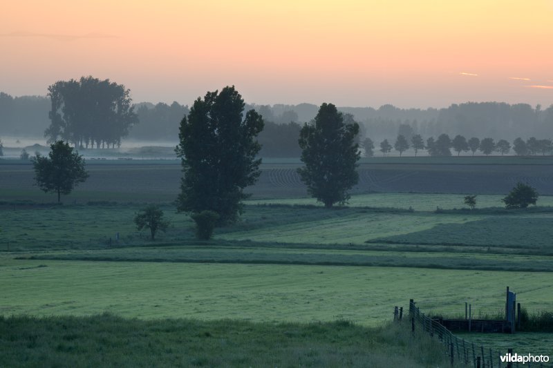 Ochtendlicht boven de Getevallei