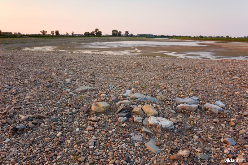 Nieuwe natuur langs de Maas