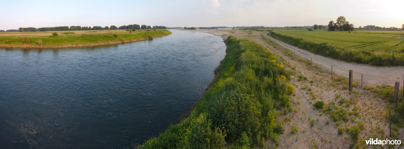 Nieuwe natuur langs de Maas