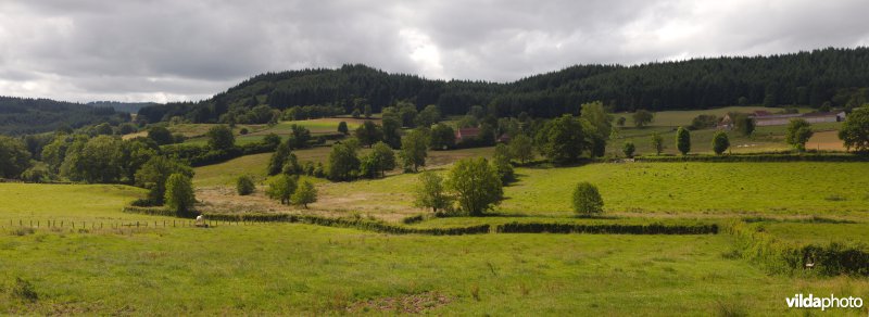 Kleinschalig landbouwlandschap