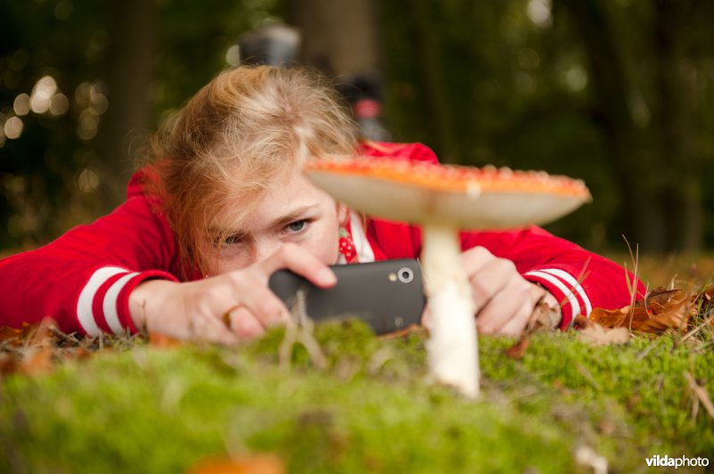 Meisje fotografeert vliegenzwam