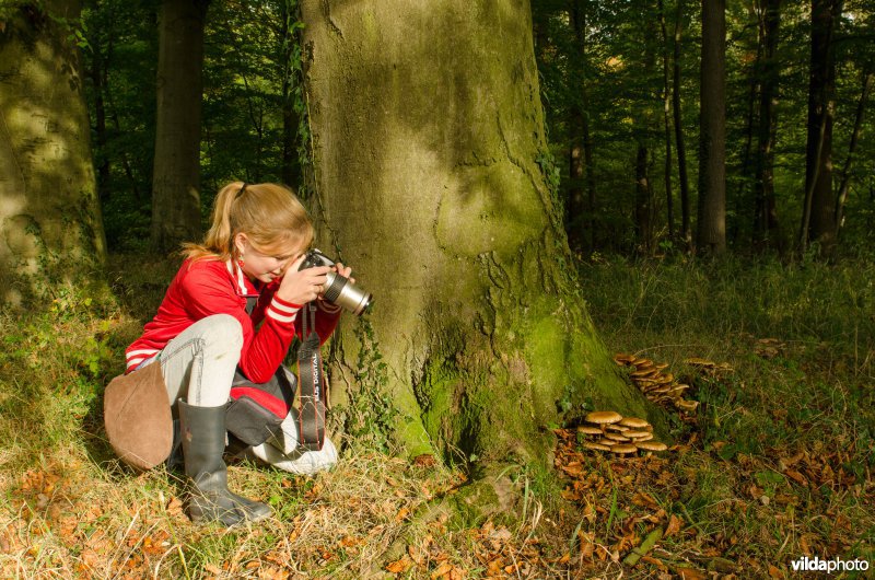 Meisje fotografeert paddestoelen