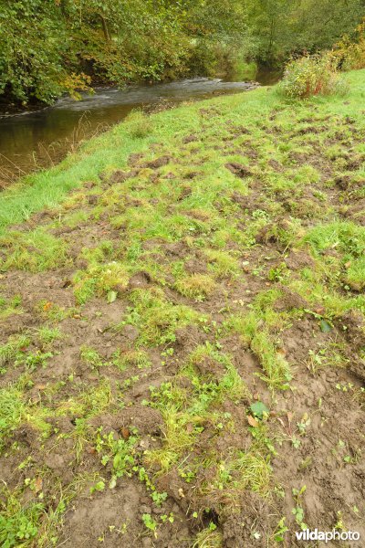 Vallei van de Hermeton