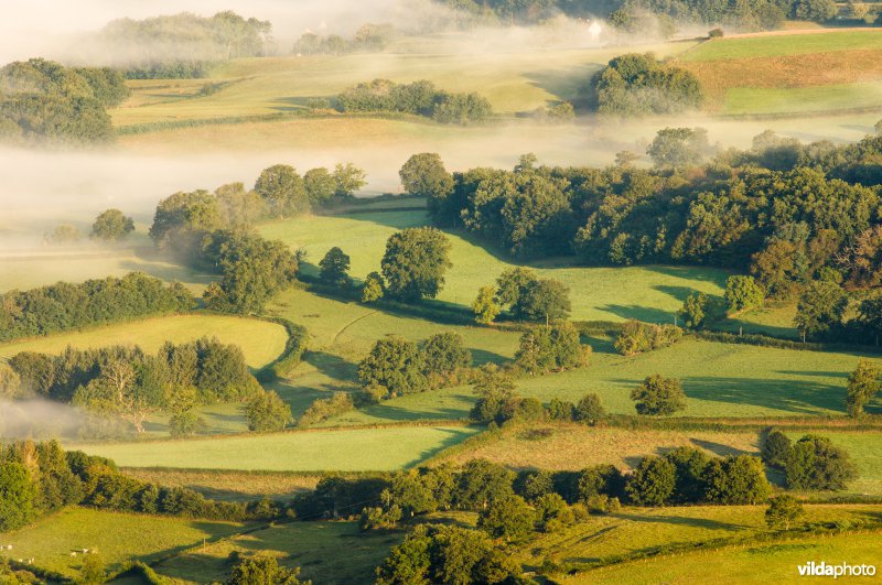 Ochtendnevels over kleinschalig cultuurlandschap in de Morvan