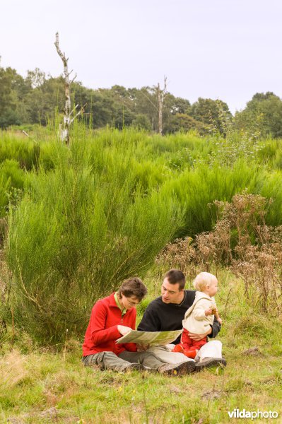 Wandelen in de Meinweg