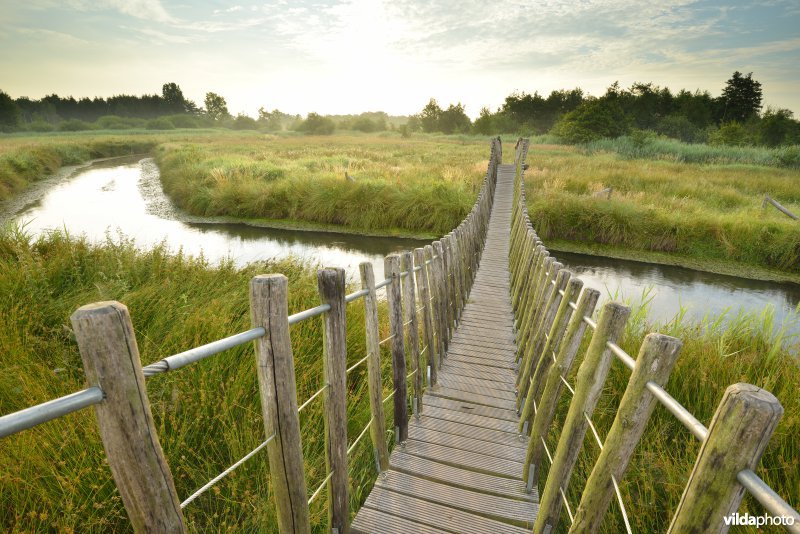 Hangbrug over de Dommel in het Hageven