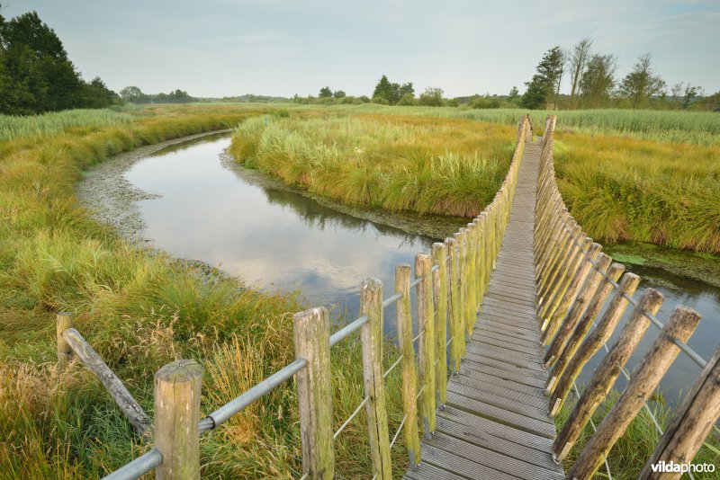 Hangbrug over de Dommel in het Hageven