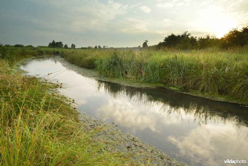 De Dommel in het Hageven