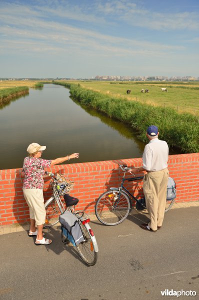 Fietsers in de Uitkerkse Polders