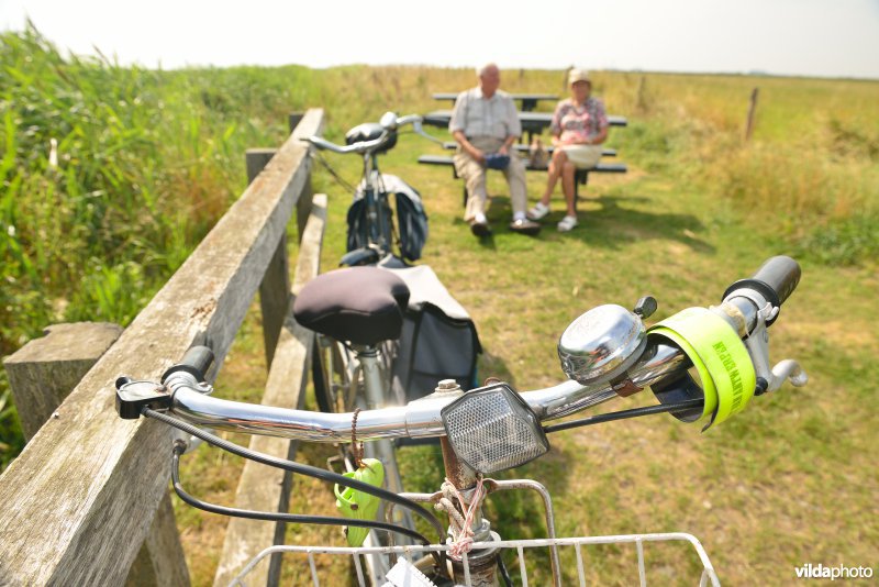 Fietsers in de Uitkerkse Polders