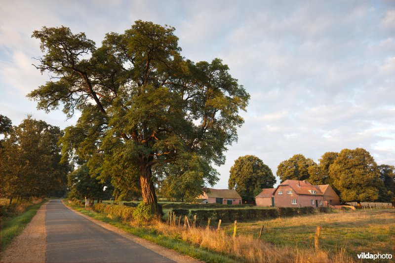 Kempisch hoevetje