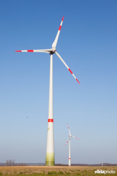 Windturbine