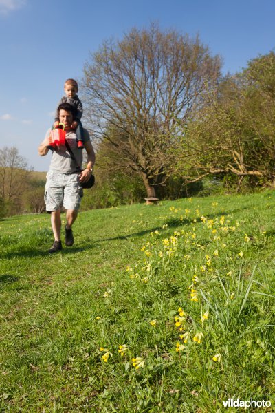 Wandelaars in een natuurgebied