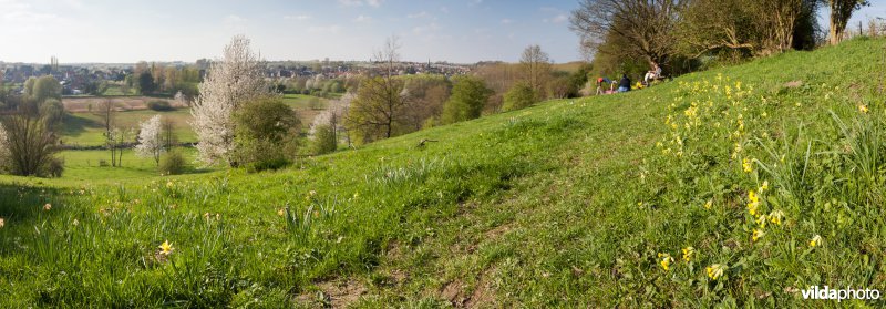 Wandelaars in een natuurgebied