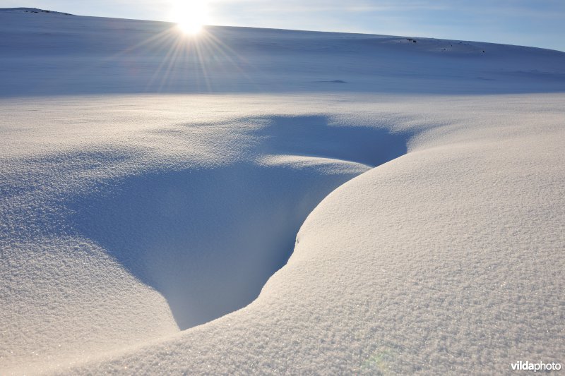 Winters landschap in Dovrefjell