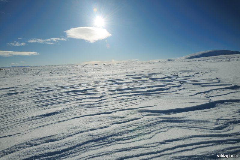 Winters landschap in Dovrefjell
