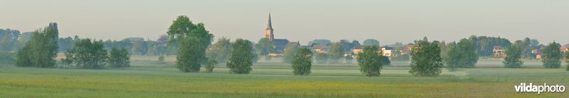 Paardeweide