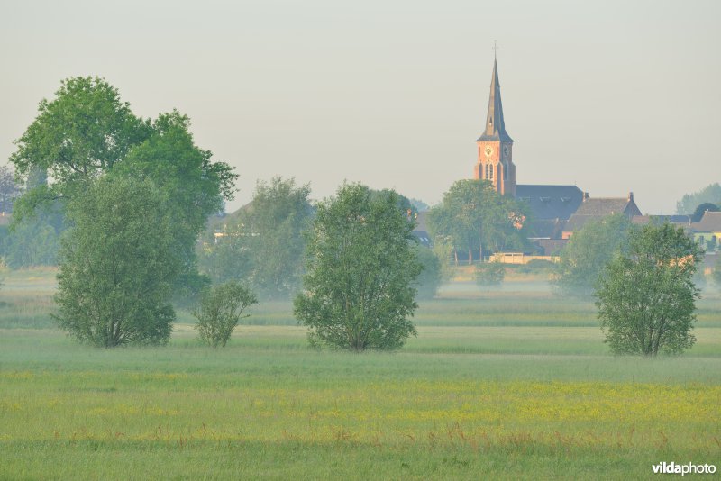 Paardeweide