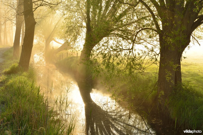 Natuurreservaat Meetkerkse Moeren